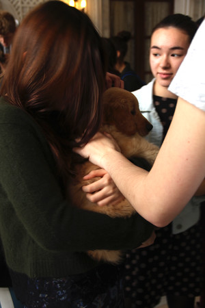Students hold puppies.