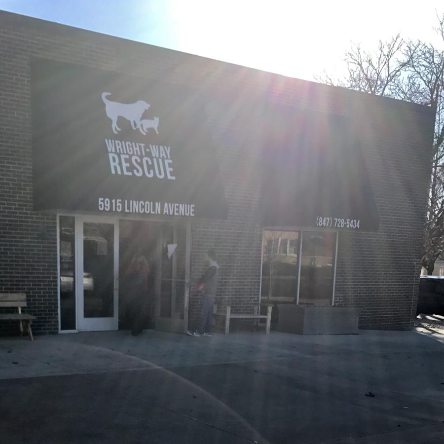 Wright-Way Rescue is hard to miss for adoptee hopefuls, as it is situated on a high traffic corner right off of a neighborhood in Morton Grove; Wright-Way has a very friendly and welcoming atmosphere.
