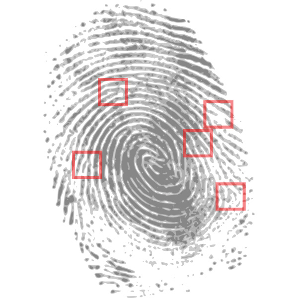 Fingerprint, one of the most widely-used evidence in forensic detection.
