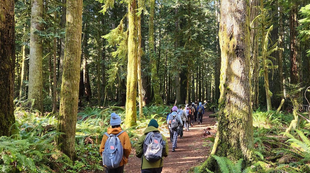 APES students walk on a trail to explore a forest in Olympic National Park.